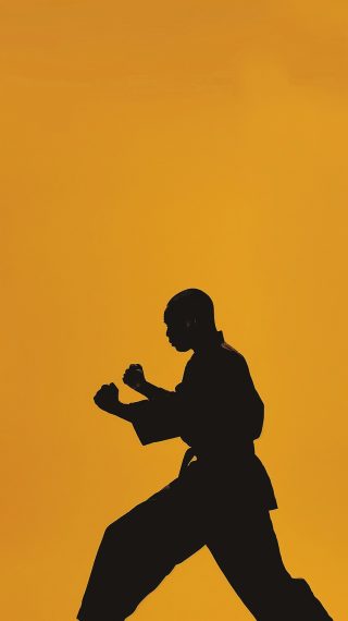 Martial Arts Silhouette Action